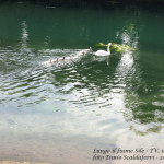 Immagini lungo il fiume Sile